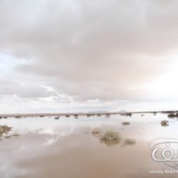 السودان: الإعدام لـ 7 رجال اغتصبوا طفلة