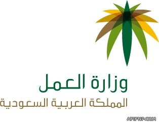 نشاطاً في الرياح السطحية على شمال غرب المملكة