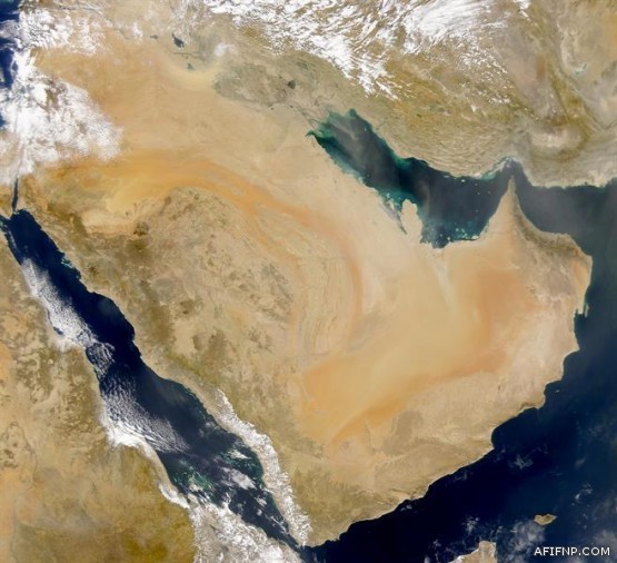 النيابة العامة توضح عقوبة مزوري التقارير والشهادات الطبية