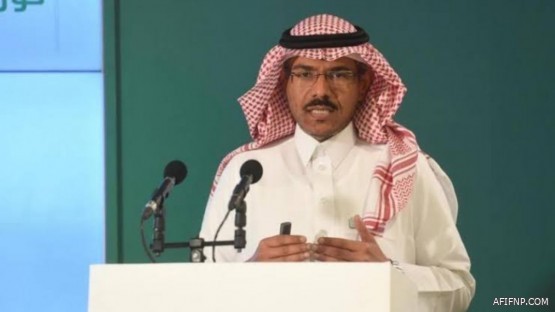 مشاركة القطاع الخاص في تقديم الخدمات الحكومية بعد إقرار نظام التخصيص