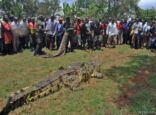 القبض على أضخم تمساح في العالم بعد التهامه 6 أشخاص!