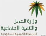 “العمل والتنمية الاجتماعية” تقرّ تأسيس جمعية “مأوى” لبناء مساكن للفقراء ومحدودي الدخل