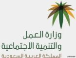 بالإنفوجراف.. “العمل والتنمية” توضح خطوات تحديث بيانات مستفيدي الرعاية والضمان الاجتماعي