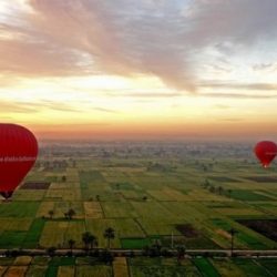 البراك: جادون بحل مشكلة المعلمات البديلات المستثنيات من التثبيت ووظائف محدودة لخرجي الدبلومات الصحية