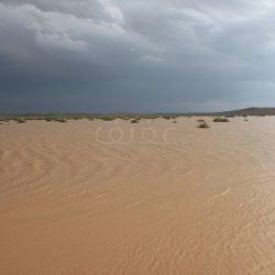 مصادر الاخبارية :  رسالة التحذير بنزوح أهالي عفيف وجريان وادي كبير خلال الاسبوع القادم غير صحيحه