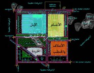 تنفيذ حكم القتل تعزيرا في "يمني " دخل منزل مواطن بالقوة وفعل الفاحشة بزوجته