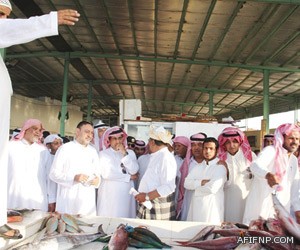 “مسؤول سابق”: مشروع “إسقاط” مصر وإنهاء الدولة.. ما زال قائما