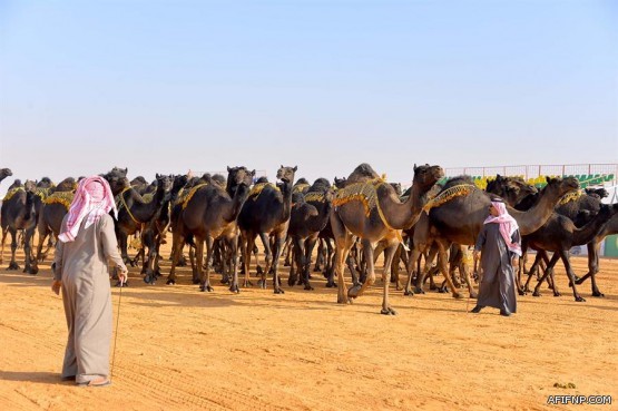 “صحة مكة” توقف خدمات مواطن وتطالبه بـ85 ألف ريال تكاليف علاج عامل كان على كفالته قبل 5 سنوات