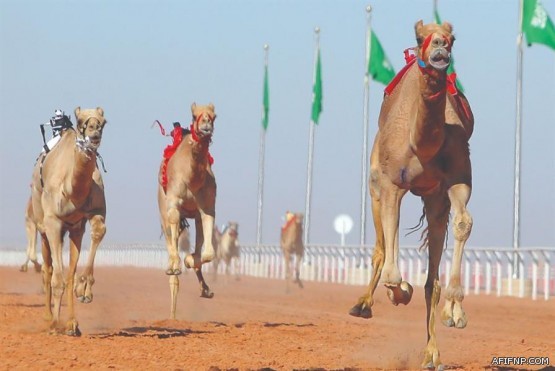 الرائد يهزم الباطن بثلاثية في دوري المحترفين السعودي